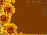 Desktop 2